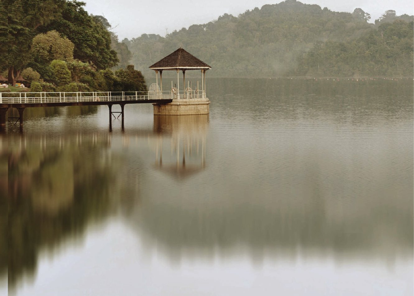 Reservoir greenery nearby